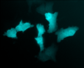 Cytoplasmic mTurquoise (pmTurquoise-C1)