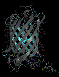 Crystal Structure of mTurquoise2